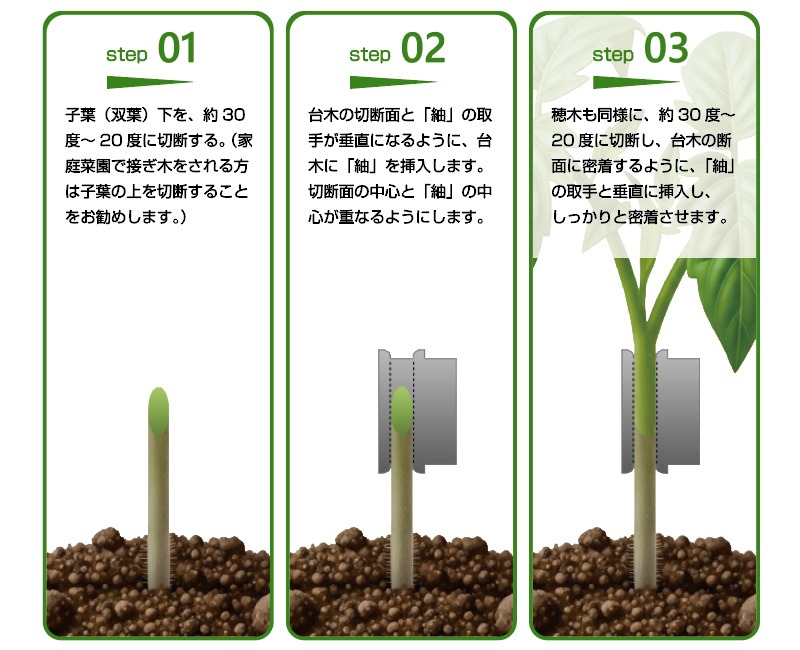 接ぎ木クリップ・紬（つむぎ）使用方法